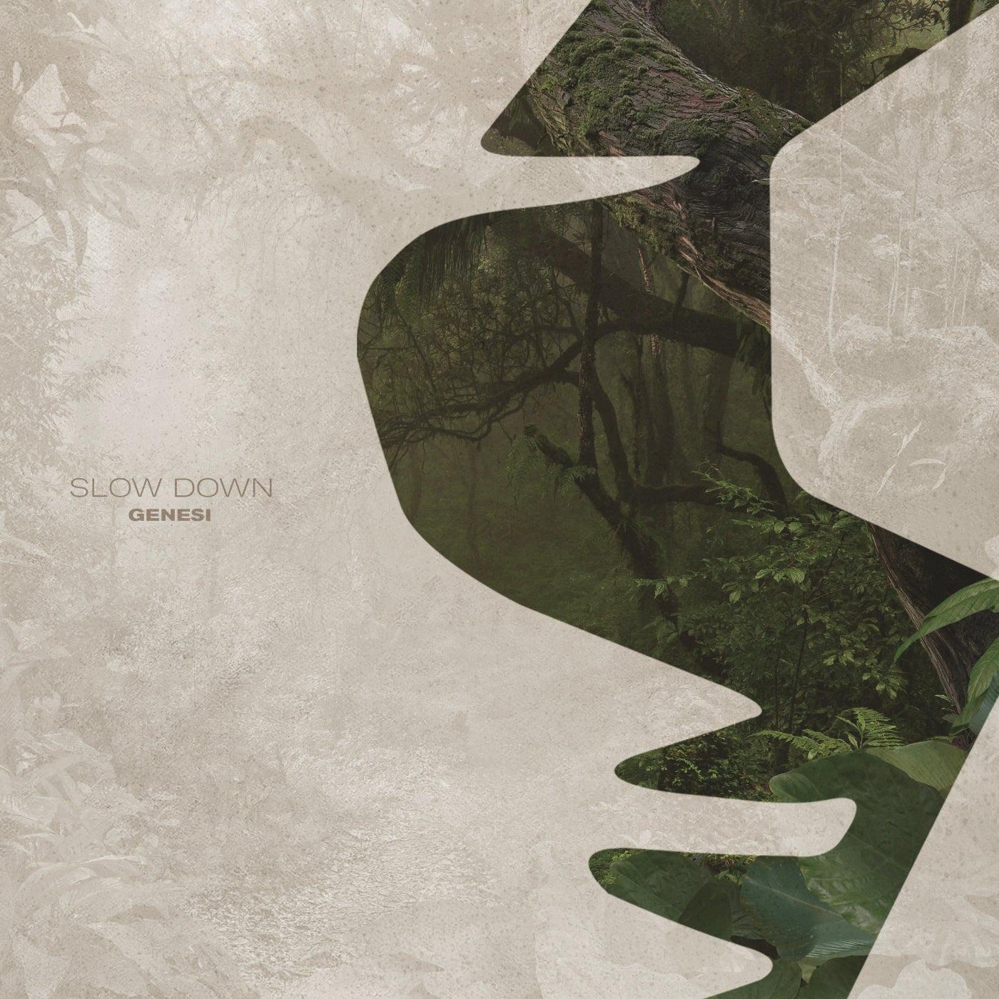 Slow Down (Extended Mixes)