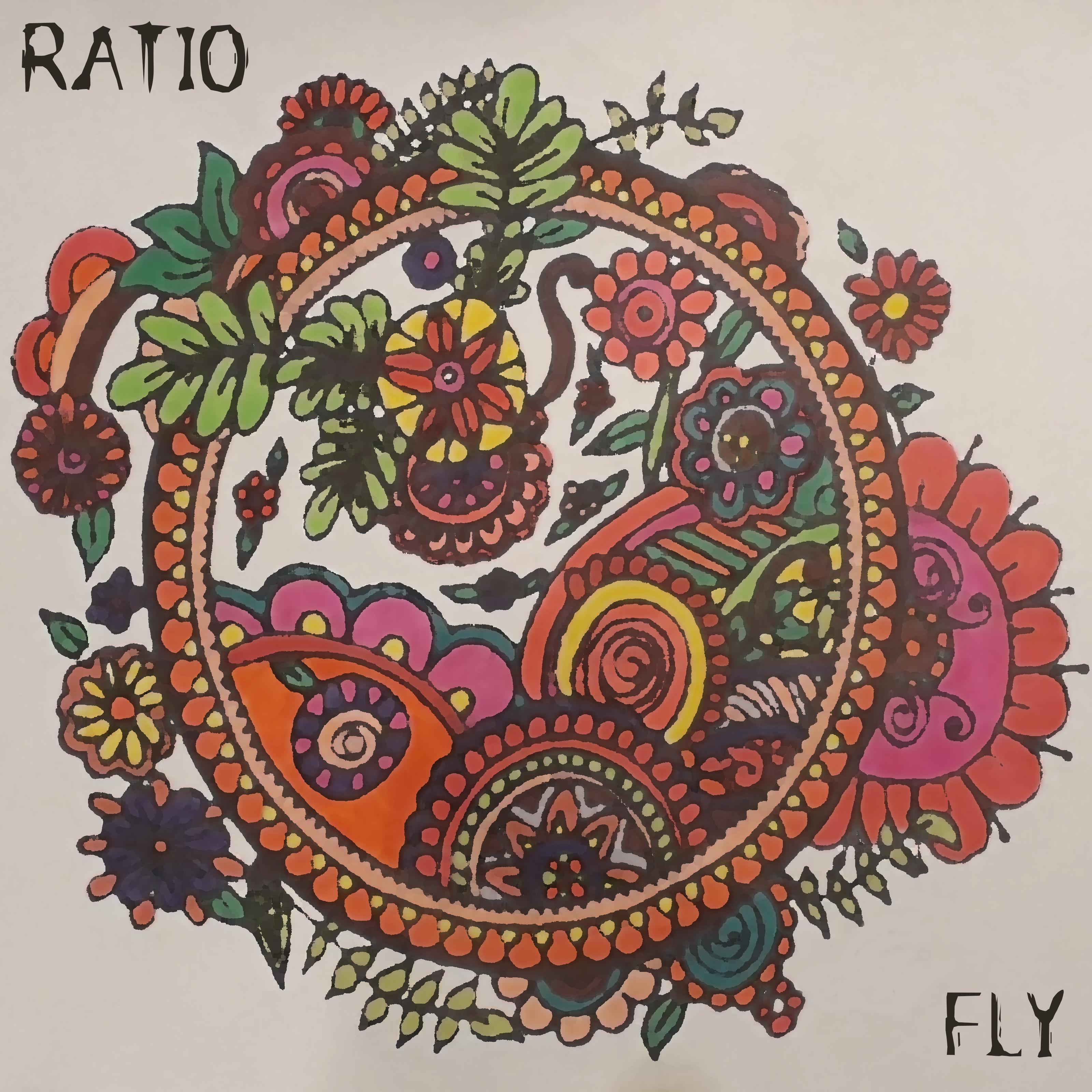 Fly