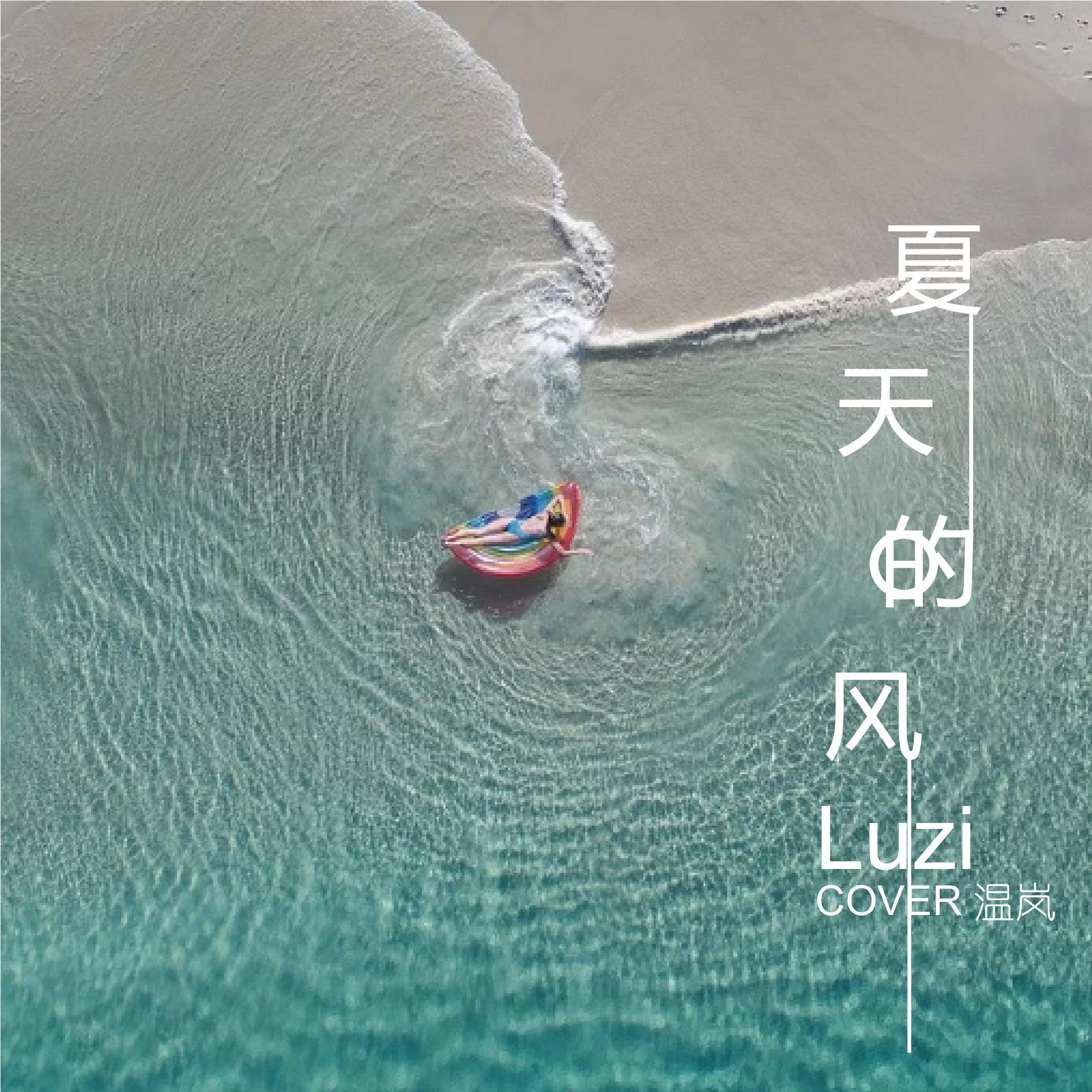 温岚-夏天的风（Luzi remix）