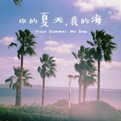 你的夏天，我的海