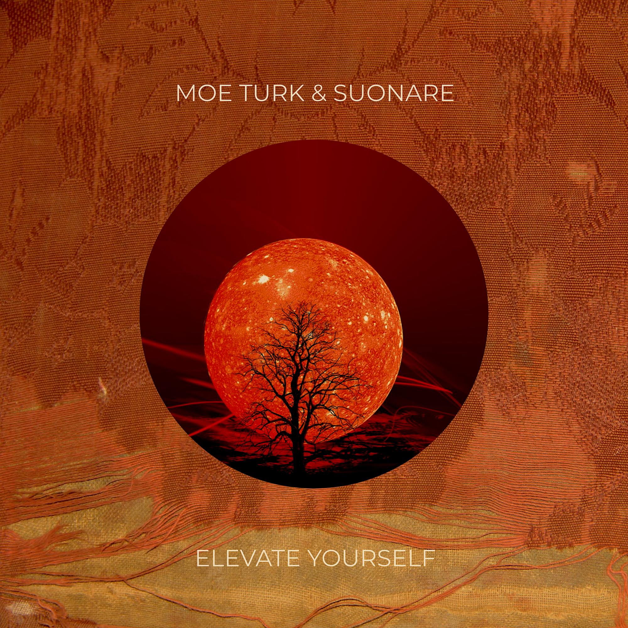 Elevate Yourself