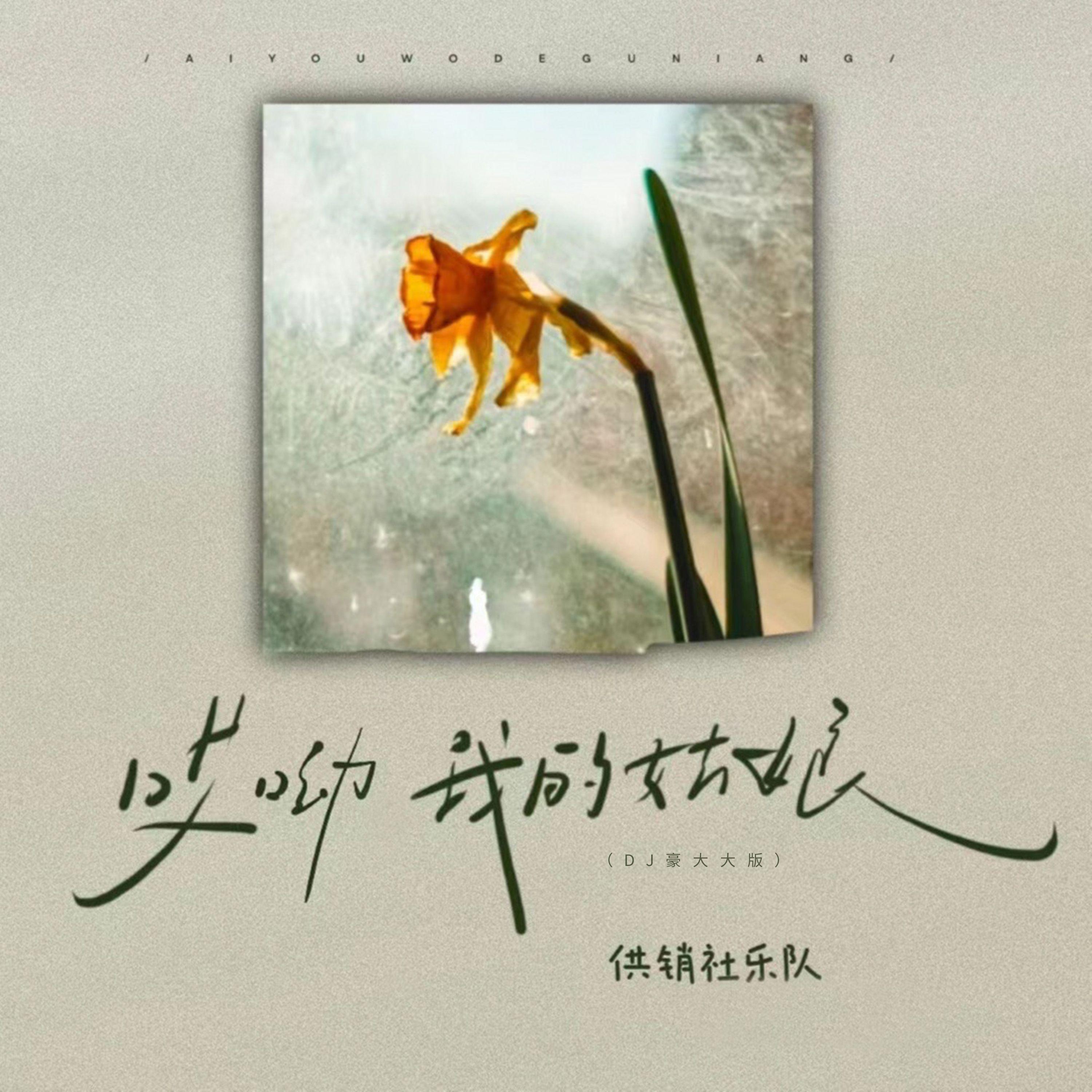 哎呦我的姑娘（DJ豪大大版）