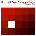 Forgotten Places (Moodymann Remix)专辑