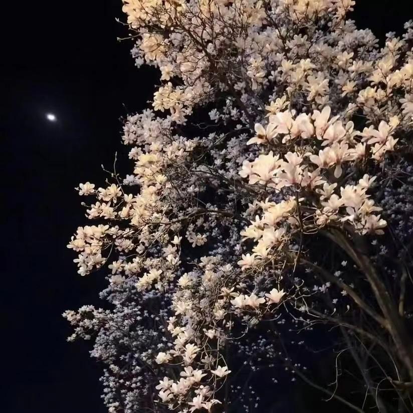 文爱