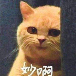 穿越记｜这些人怎么会出现在同一张歌单里？