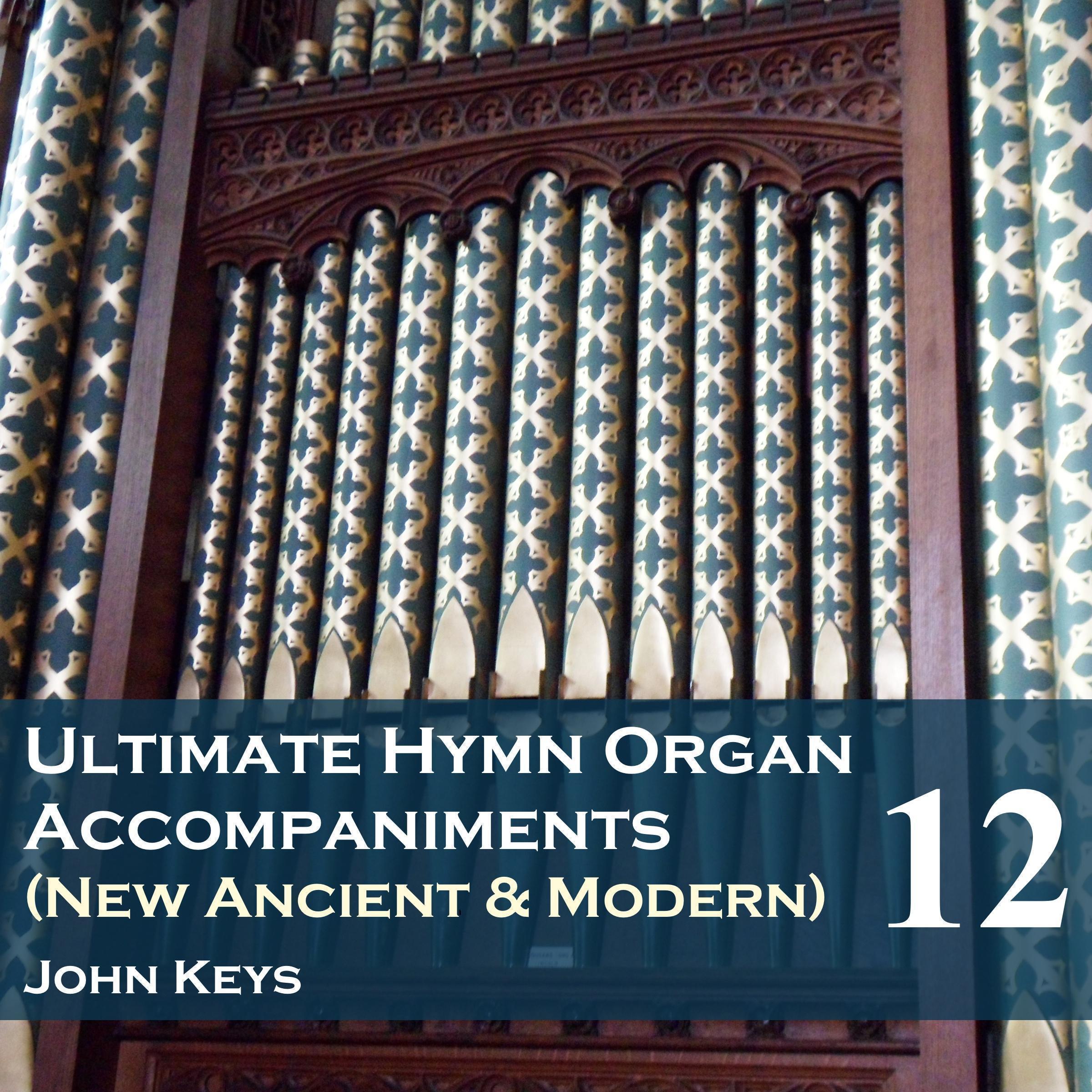 Ultimate Hymn Organ Accompaniments, Vol. 12