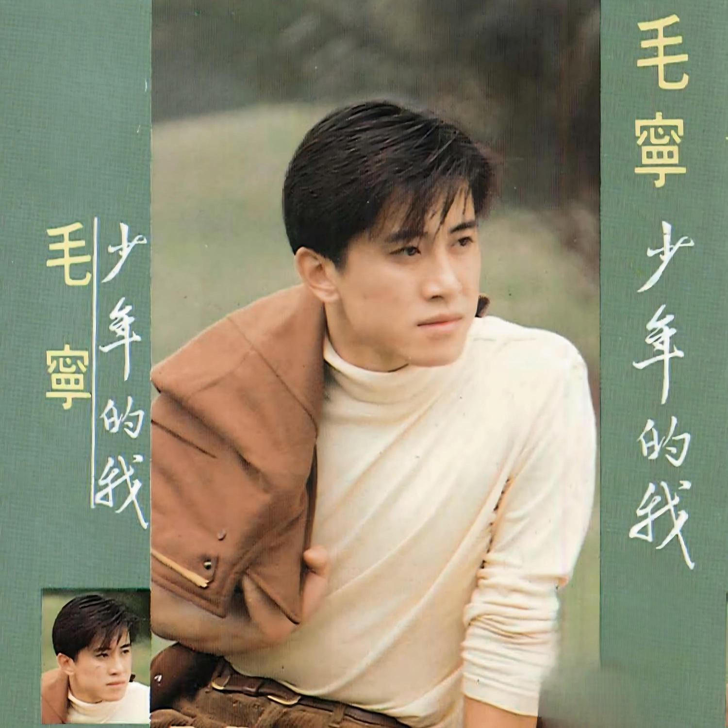 毛宁-《少年的我》