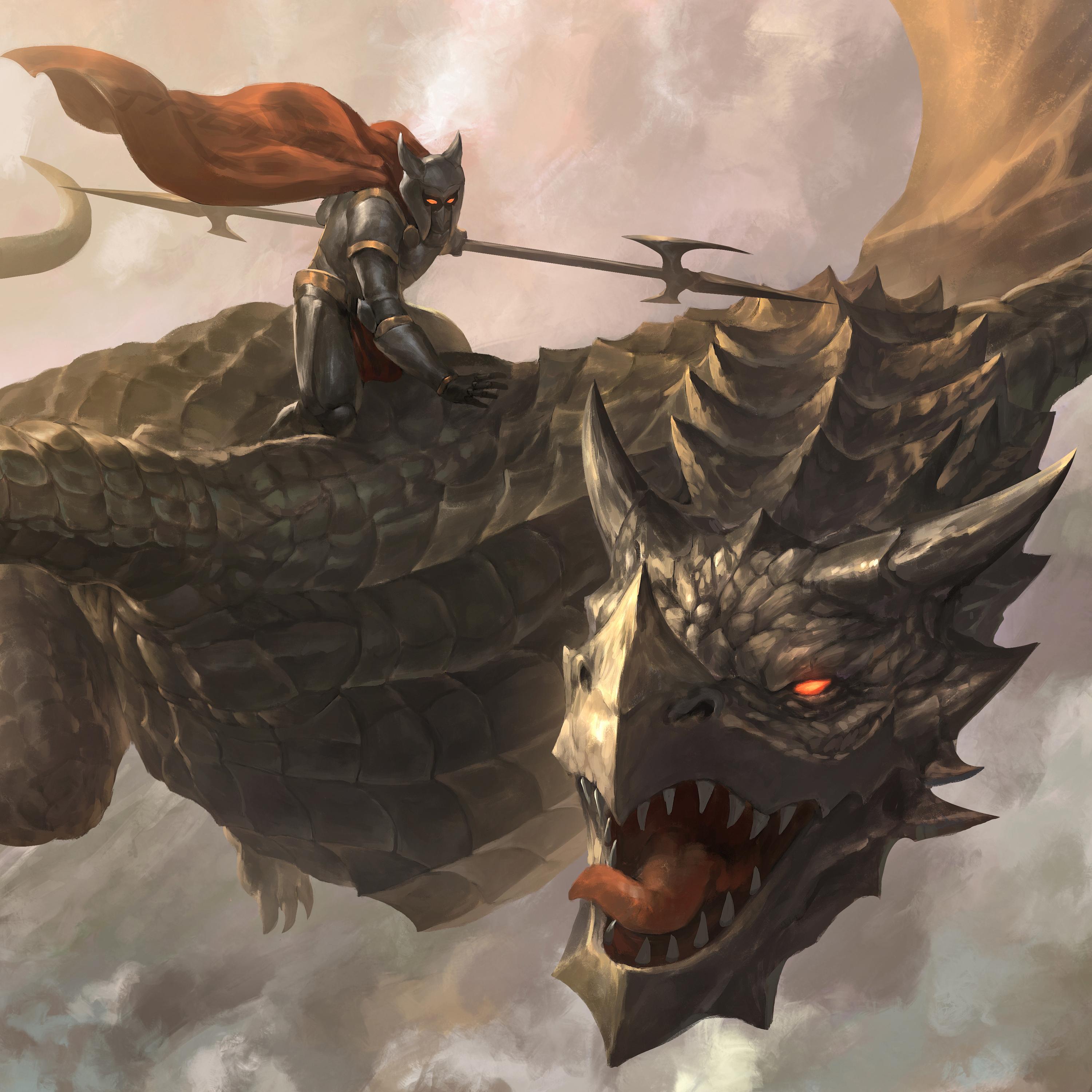Dragon Rider