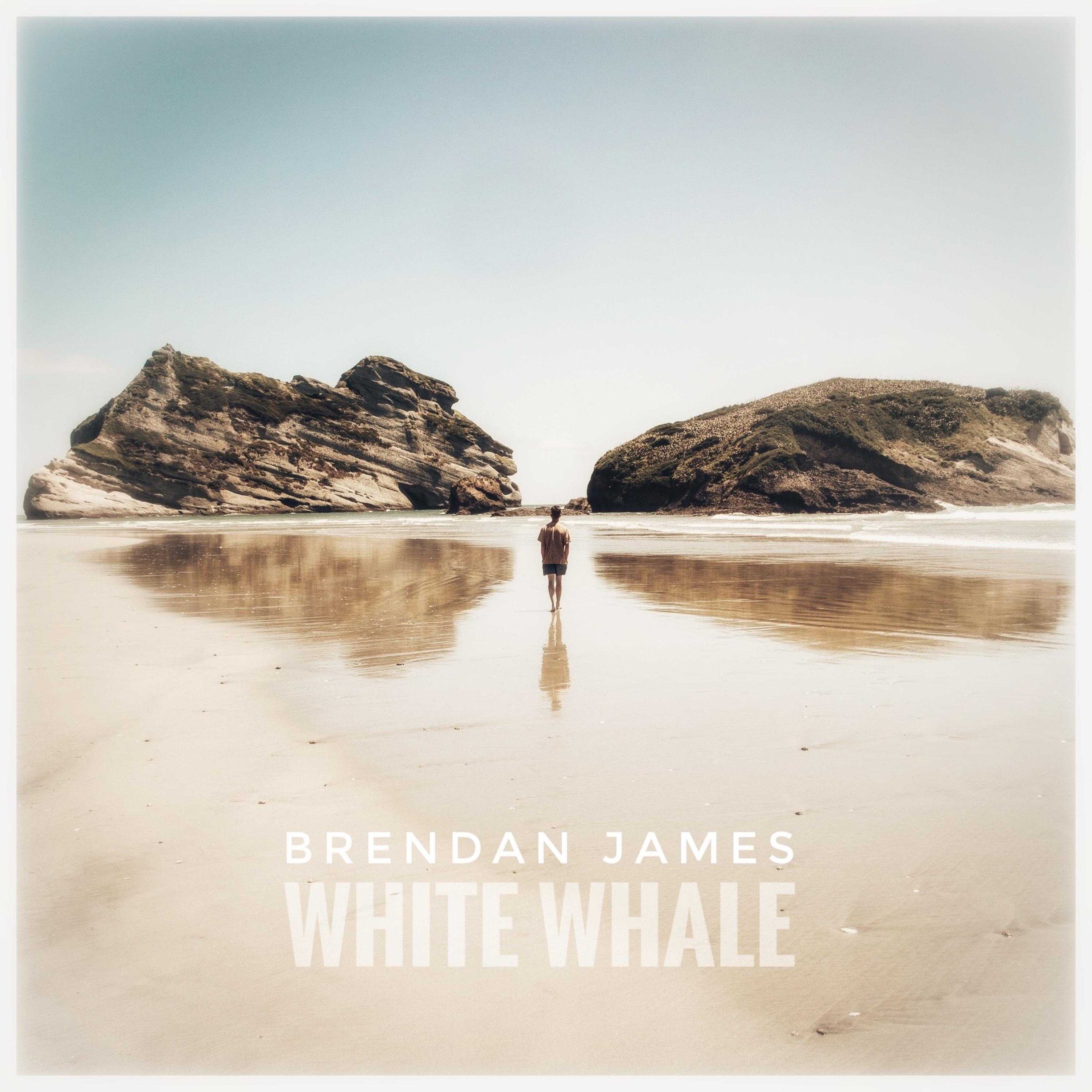 Brendan James - White Whale