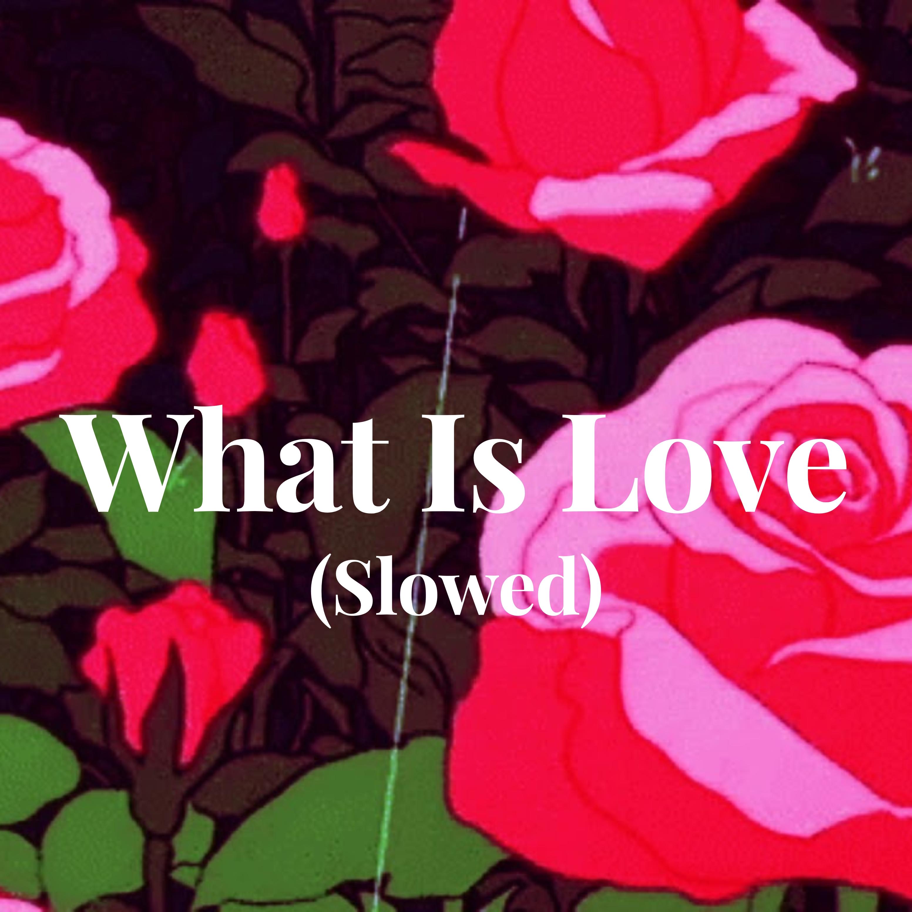 What Is Love (Slowed)