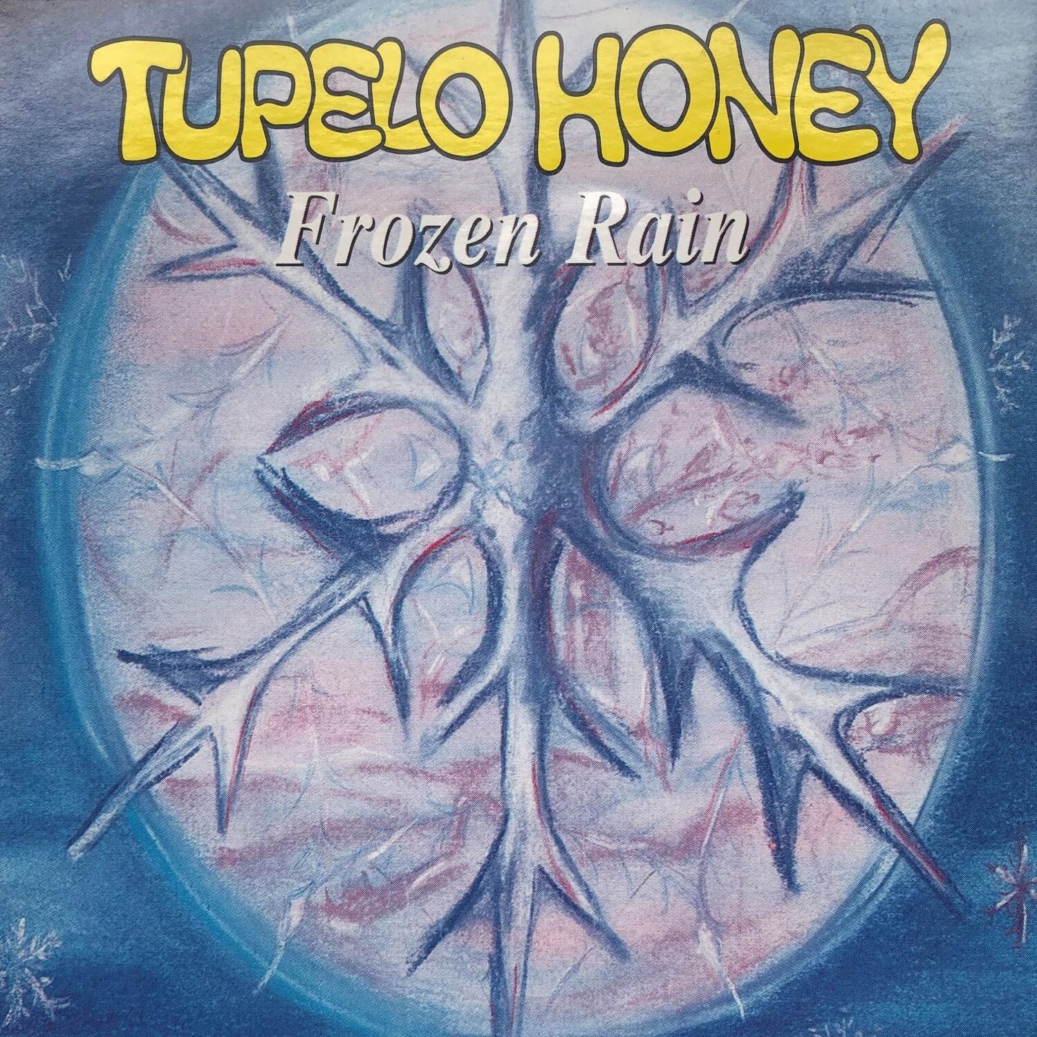 Frozen Rain
