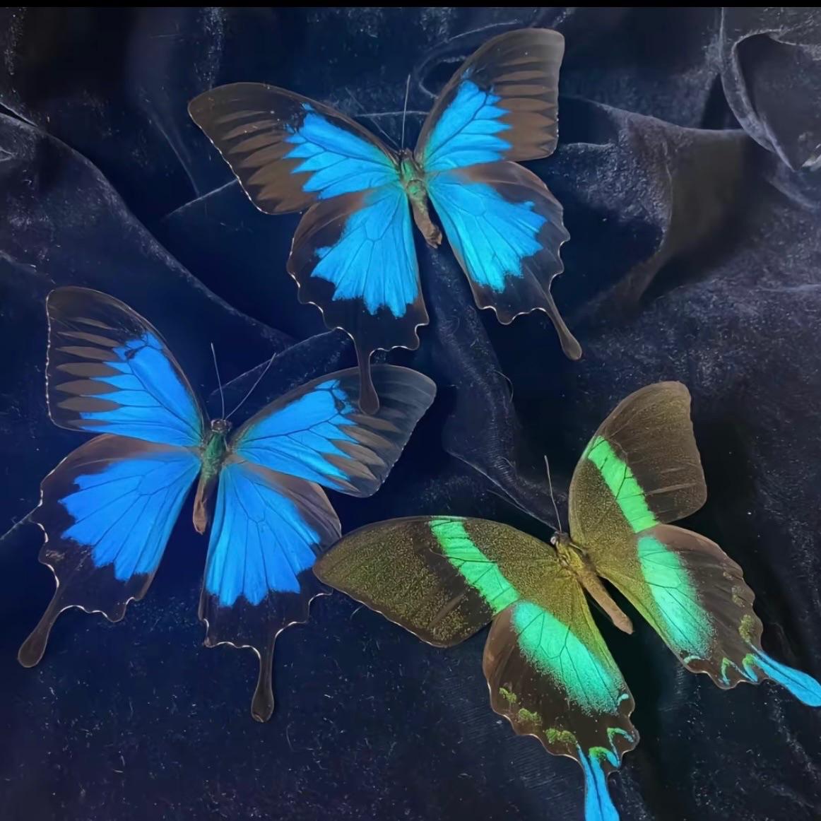 나만 안 되는 연애