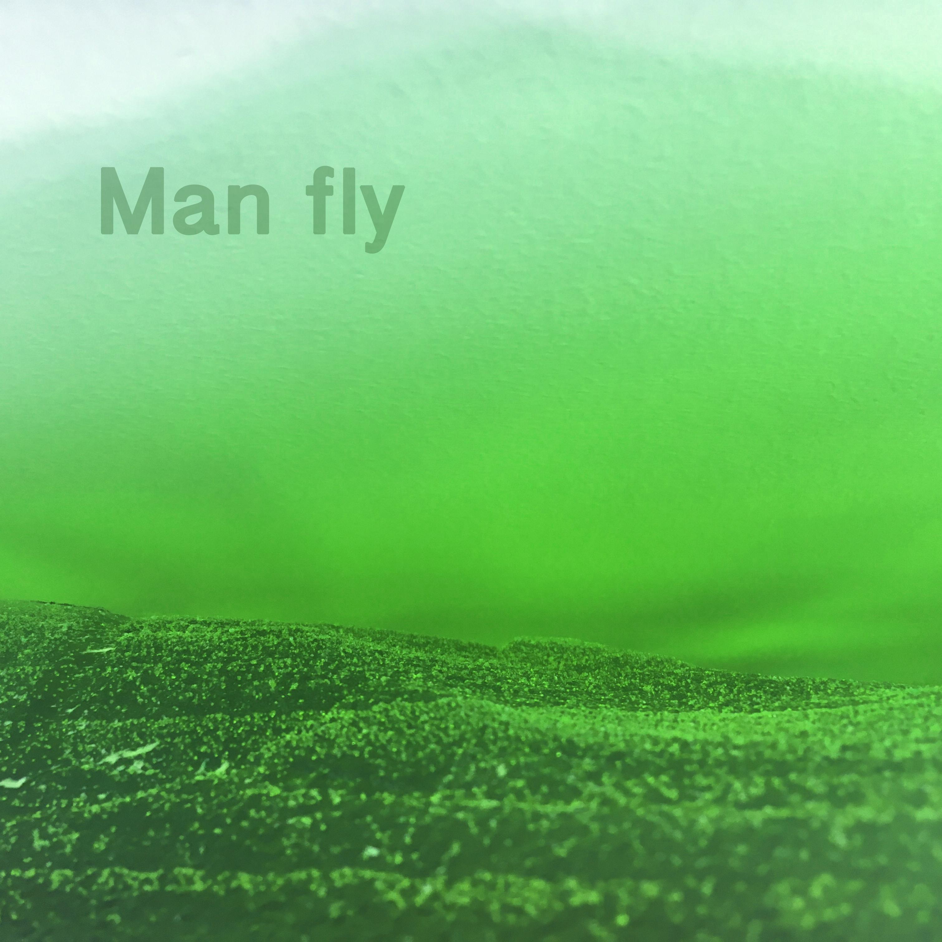 Man fly专辑