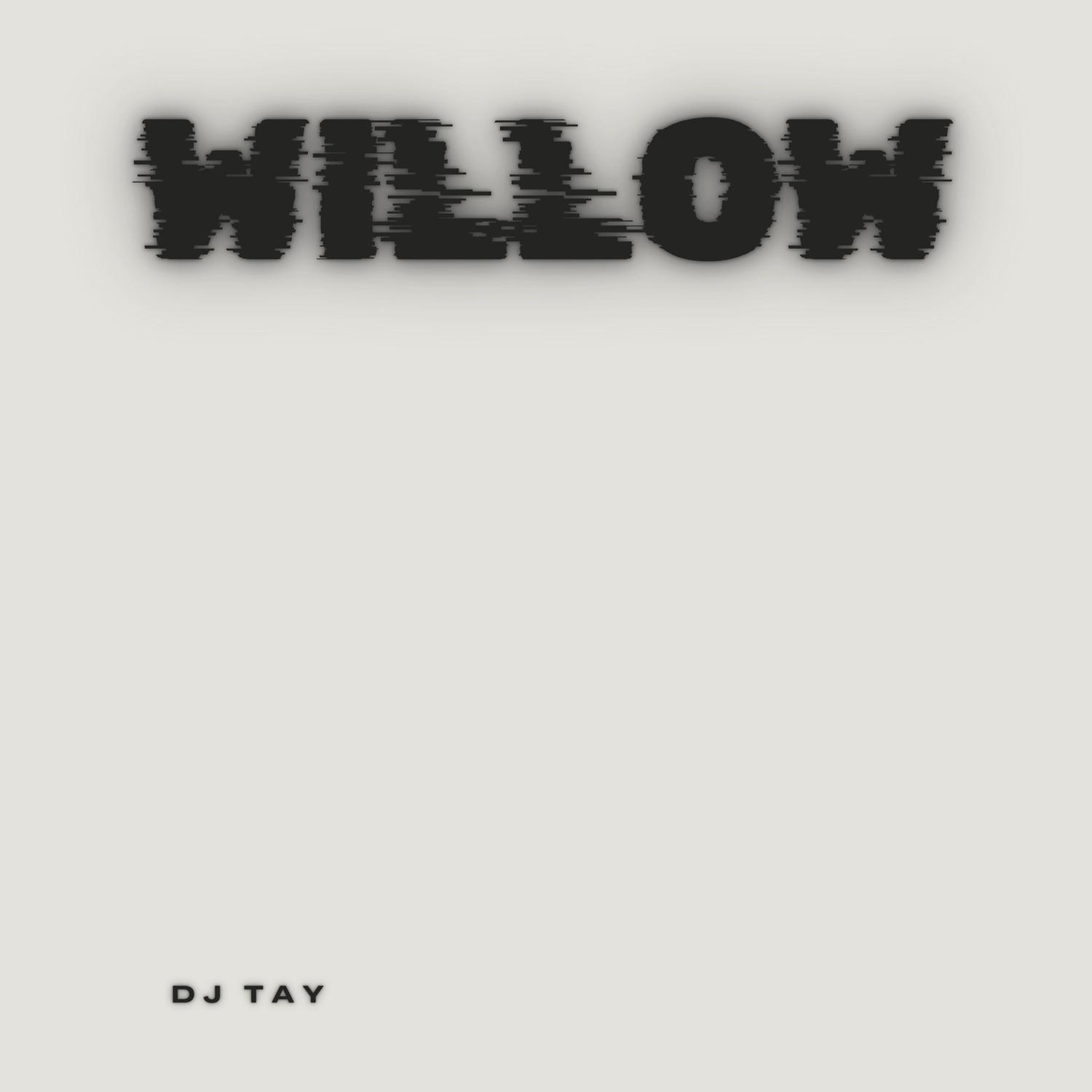 DJ Taye - Willow