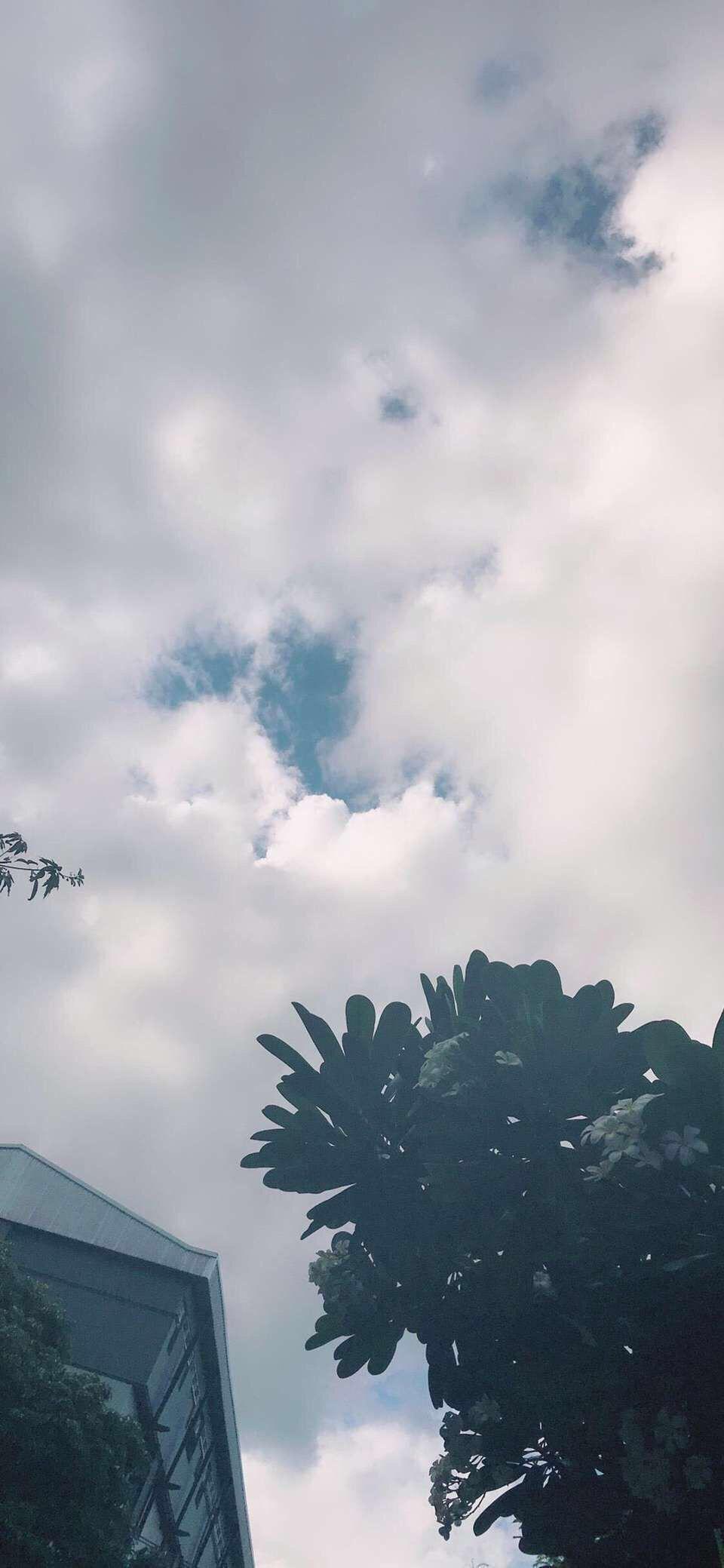 幻听专辑
