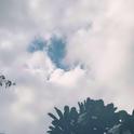幻听专辑
