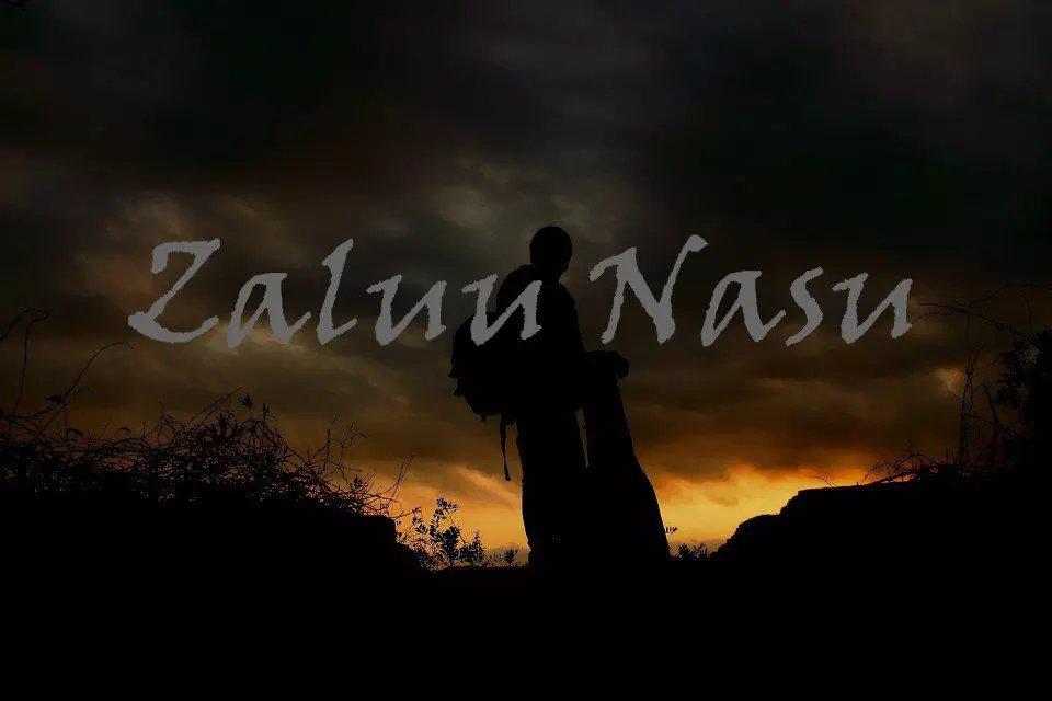 zaluu nasu专辑