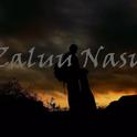 zaluu nasu专辑