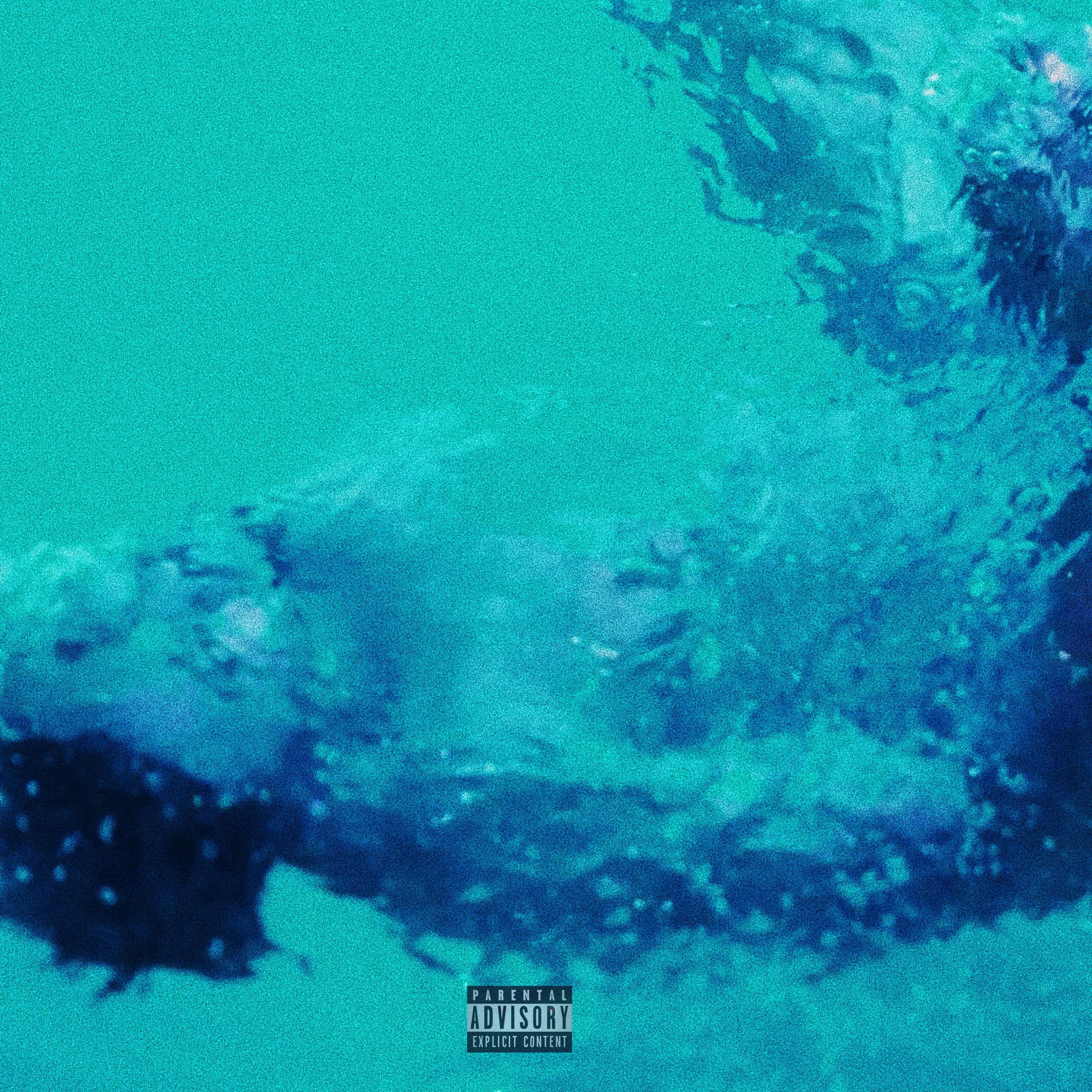 LET IT GO (feat. BLKHRT AMiR)