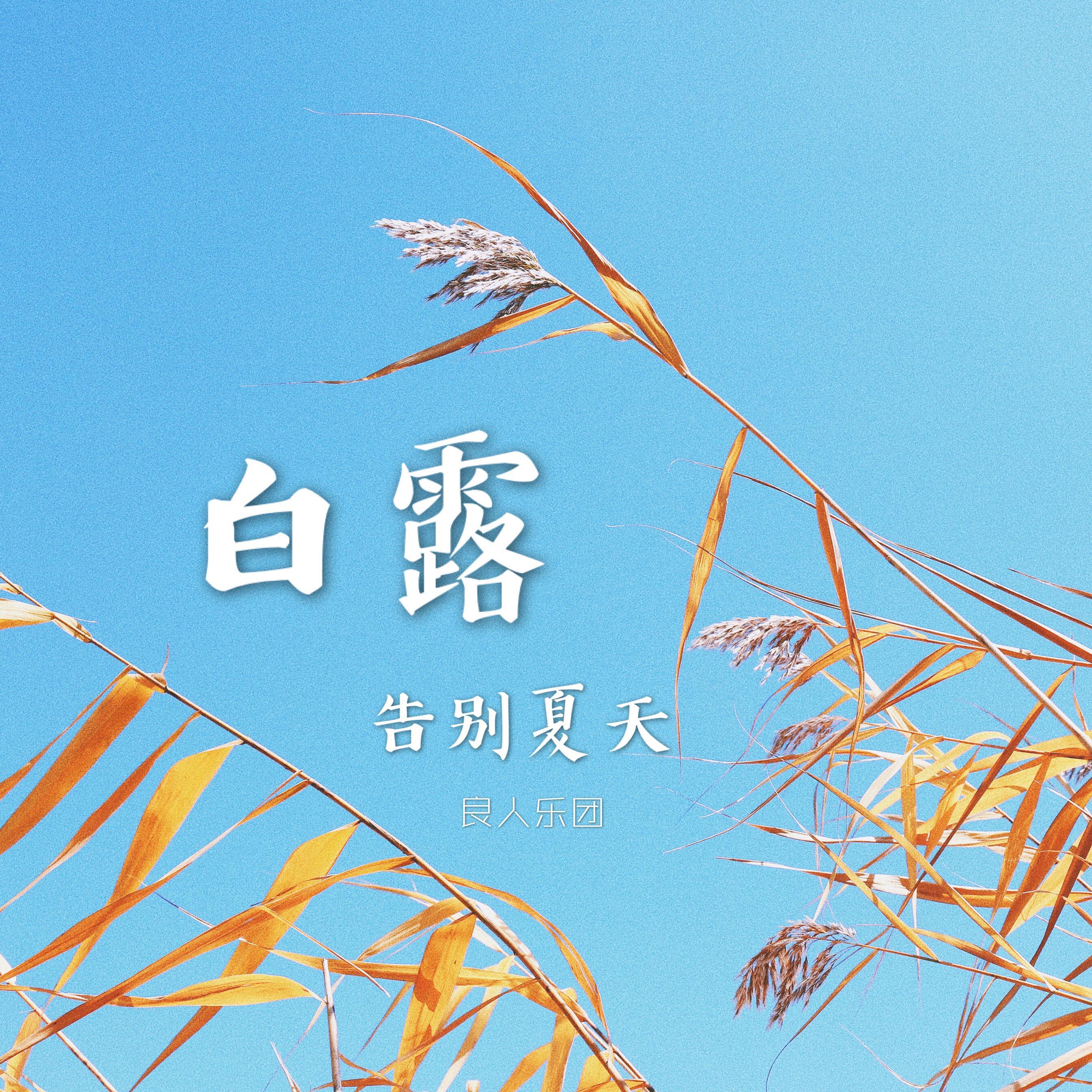 白露，告别夏天