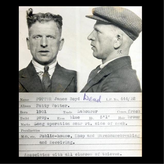 Criminal - Single
