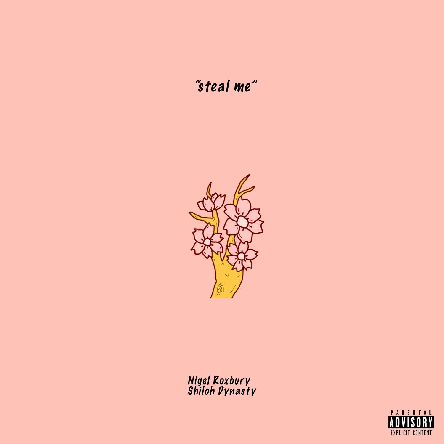 Steal Me