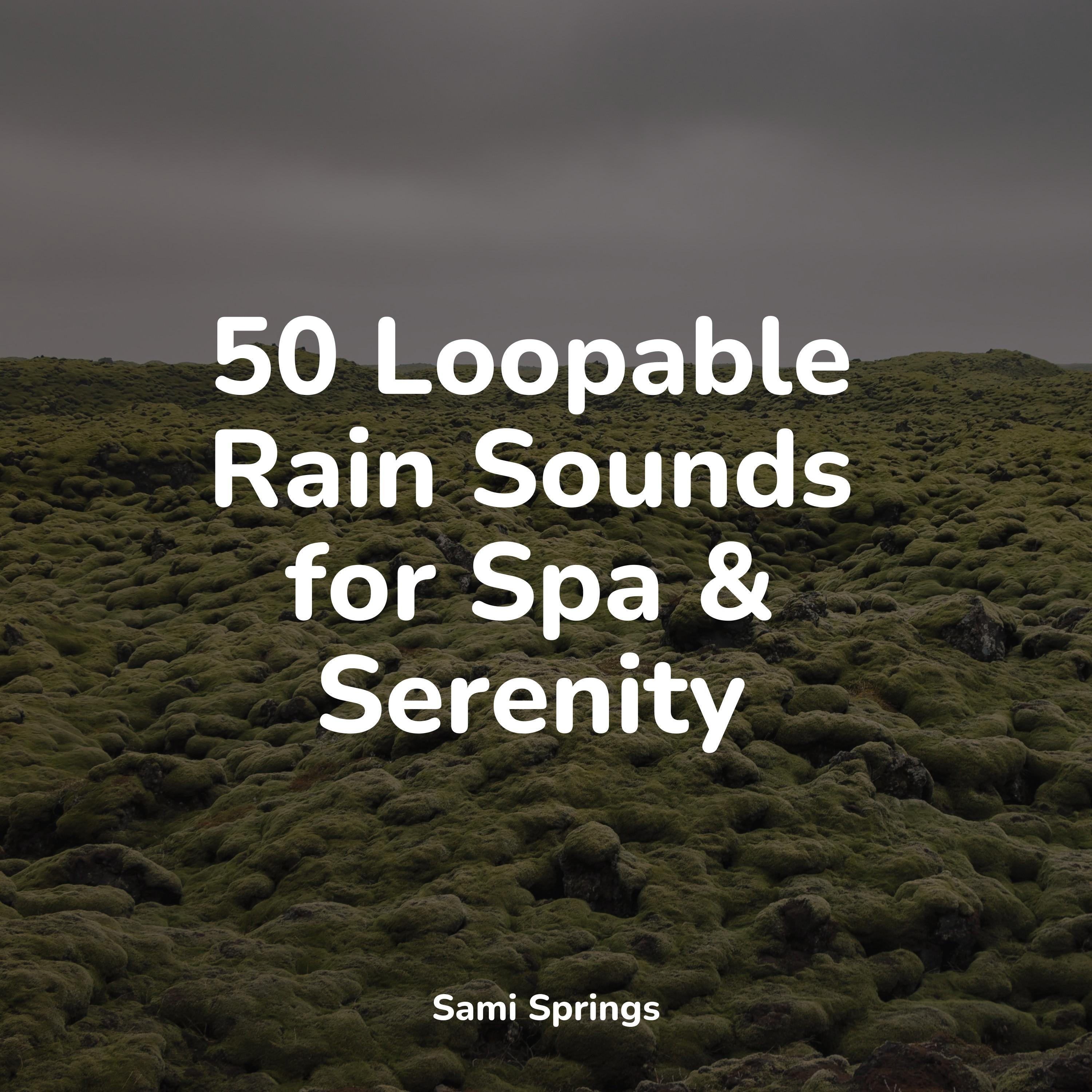 50 Loopable Rain Sounds - Natural Rain - Relaxing Sleep Sound - 专辑 - 网易云音乐