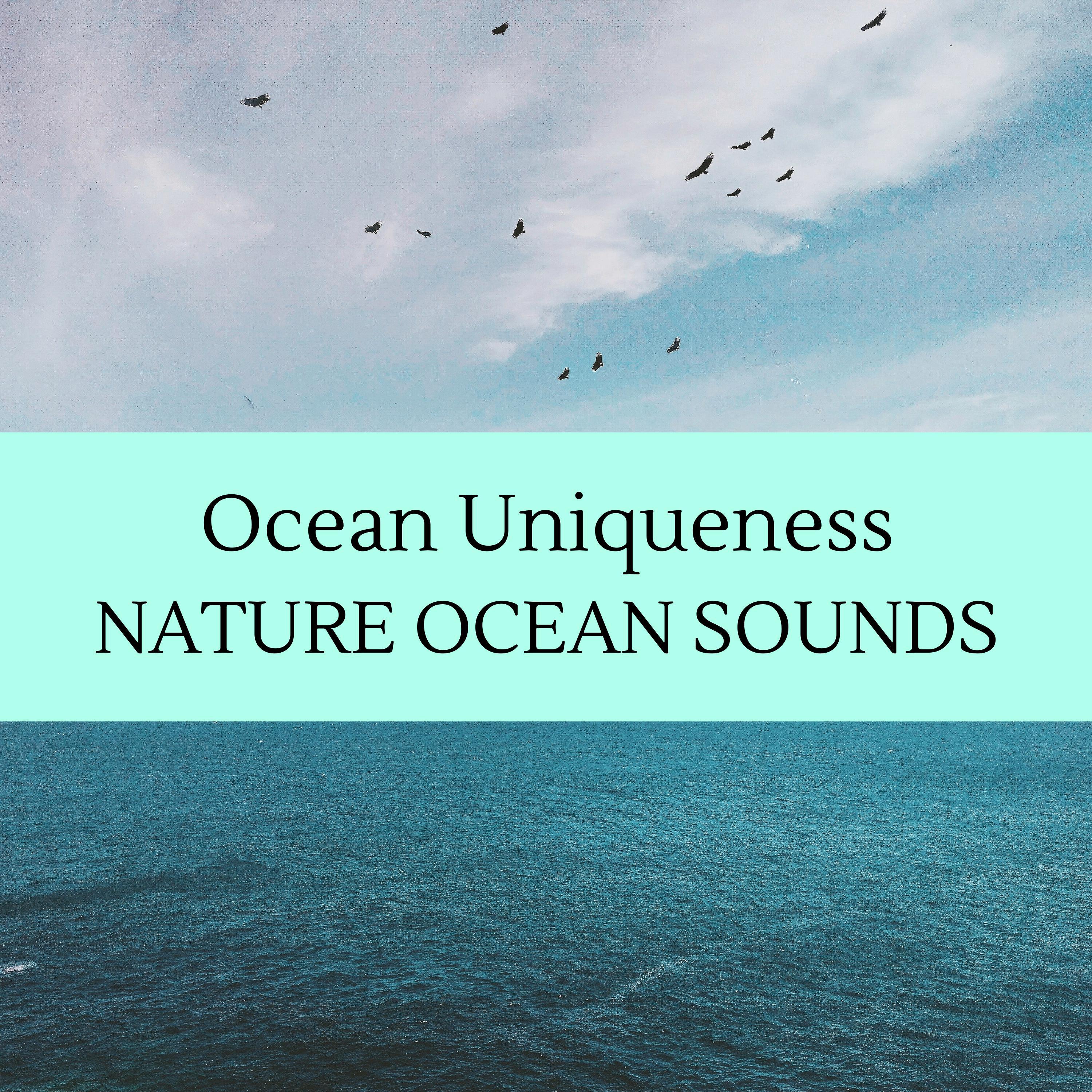 Calming Waves Ocean Music - Inner Ocean Waves