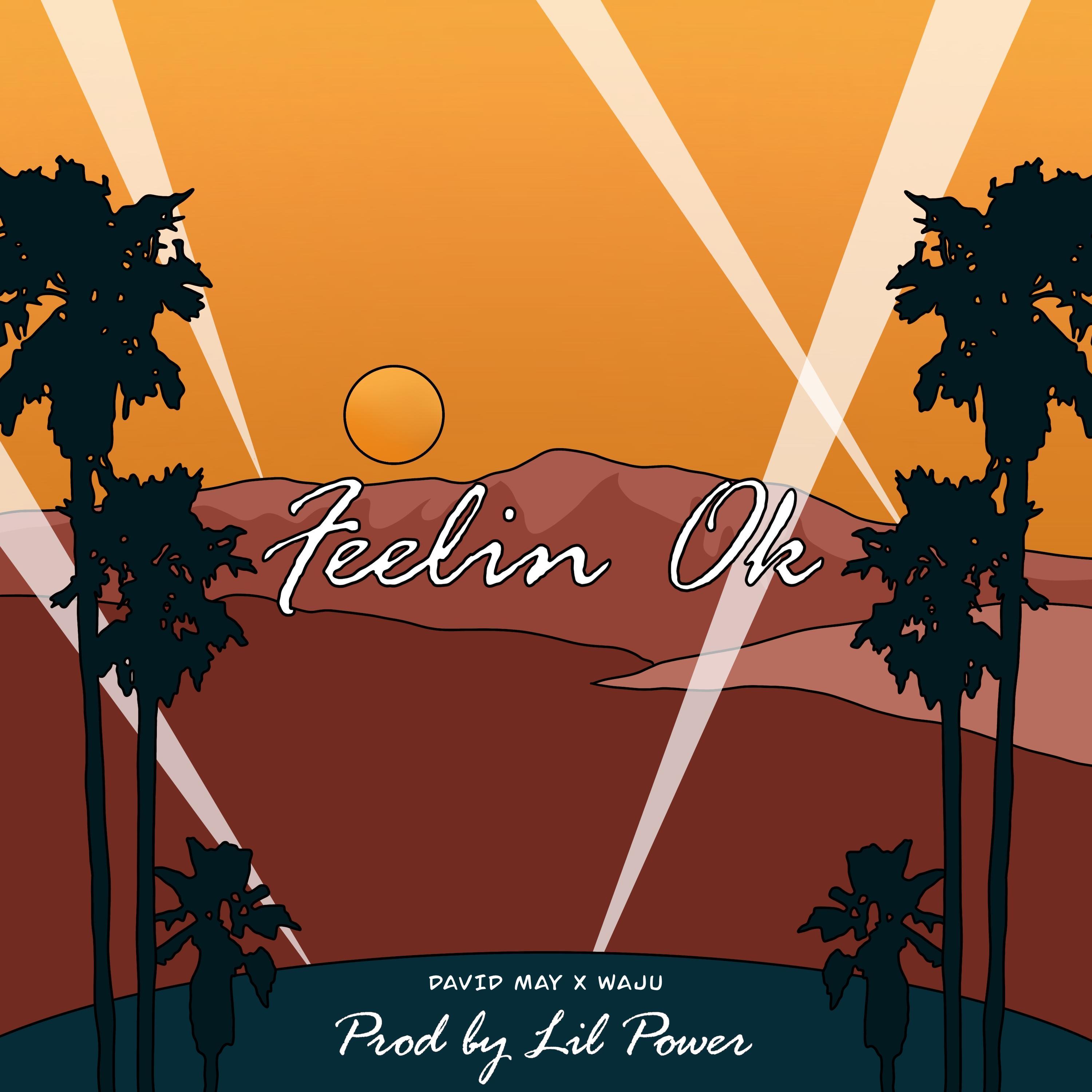 Feelin' Ok (feat. Waju & Lil Power)