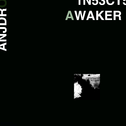 Insects Awaken专辑