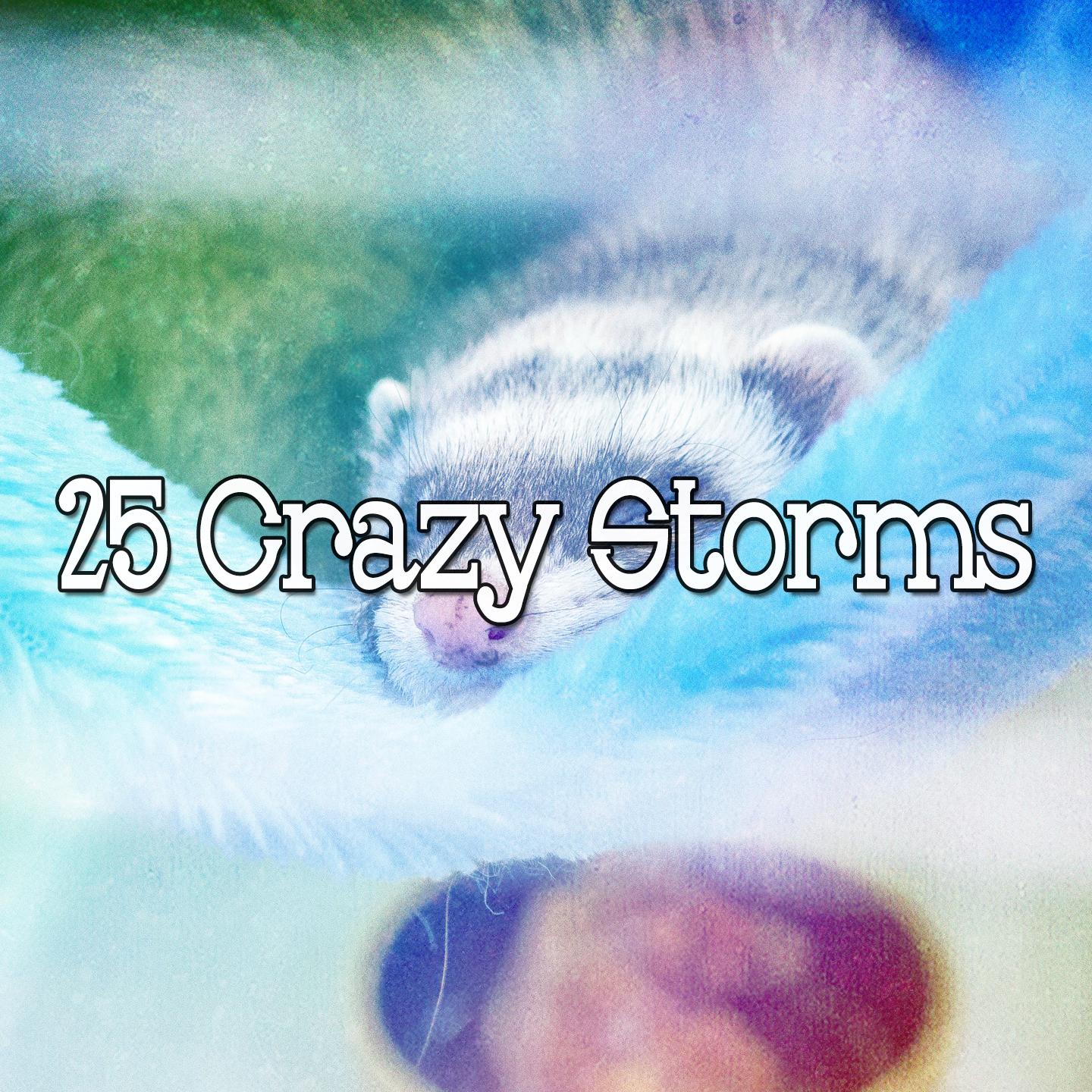 25 Crazy Storms专辑