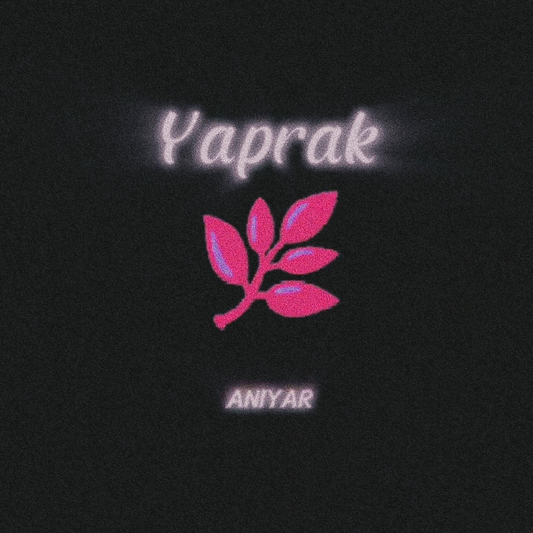 Yaprak(落叶）