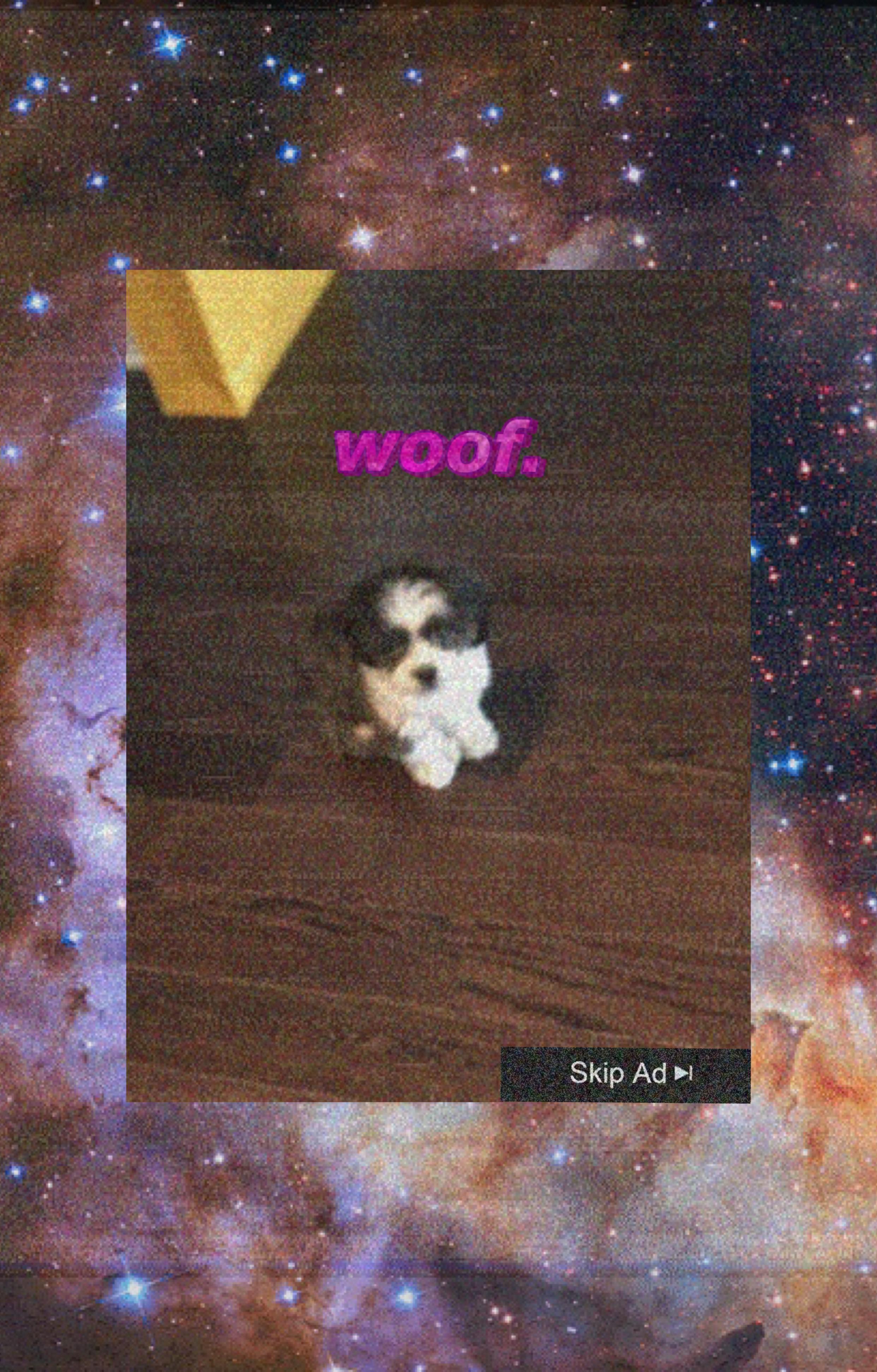 woof专辑