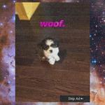 woof专辑