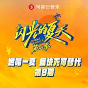 闪光的夏天第二季 第8期