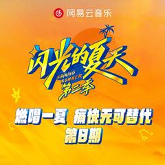 闪光的夏天第二季 第8期