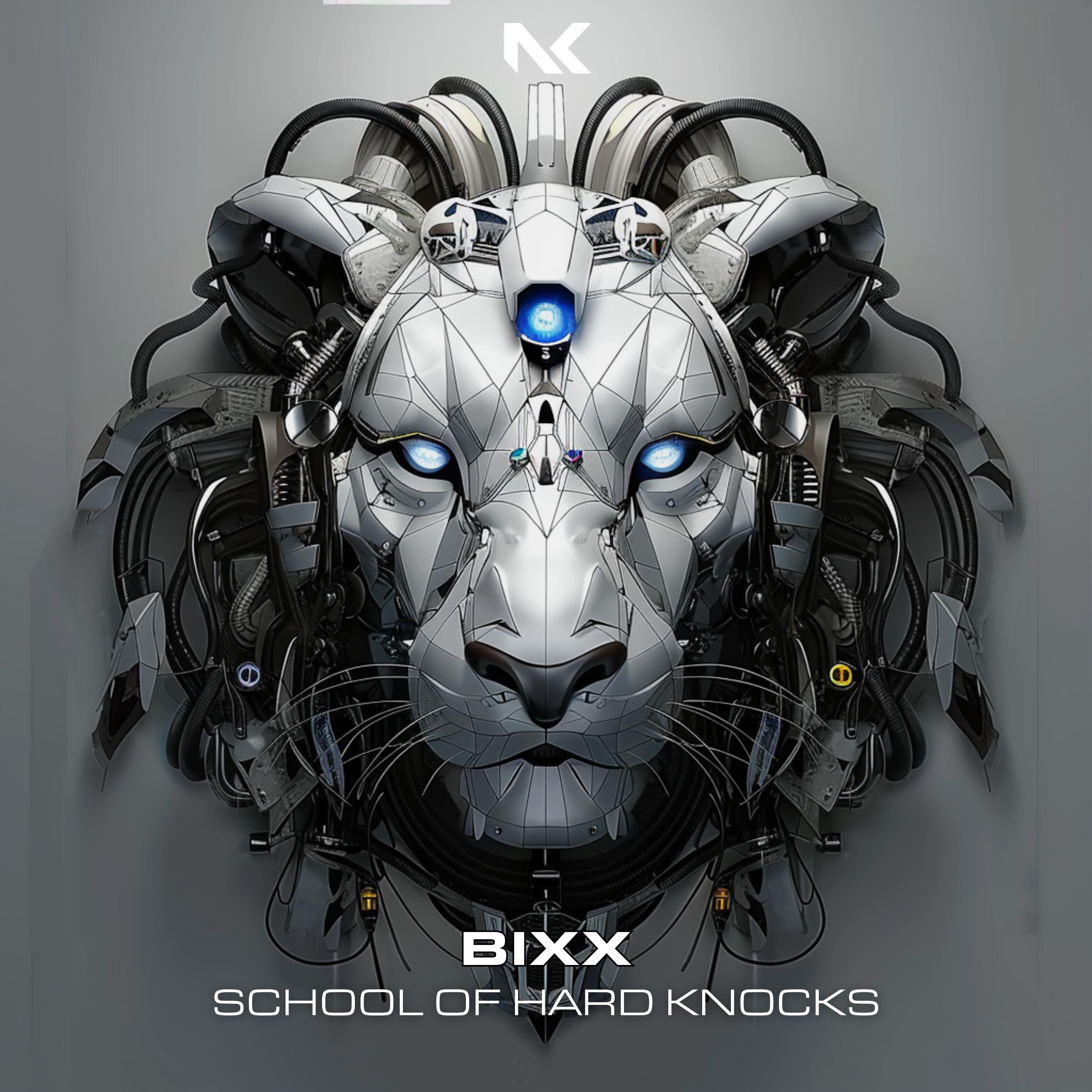 School Of Hard Knocks (Extended Mix)