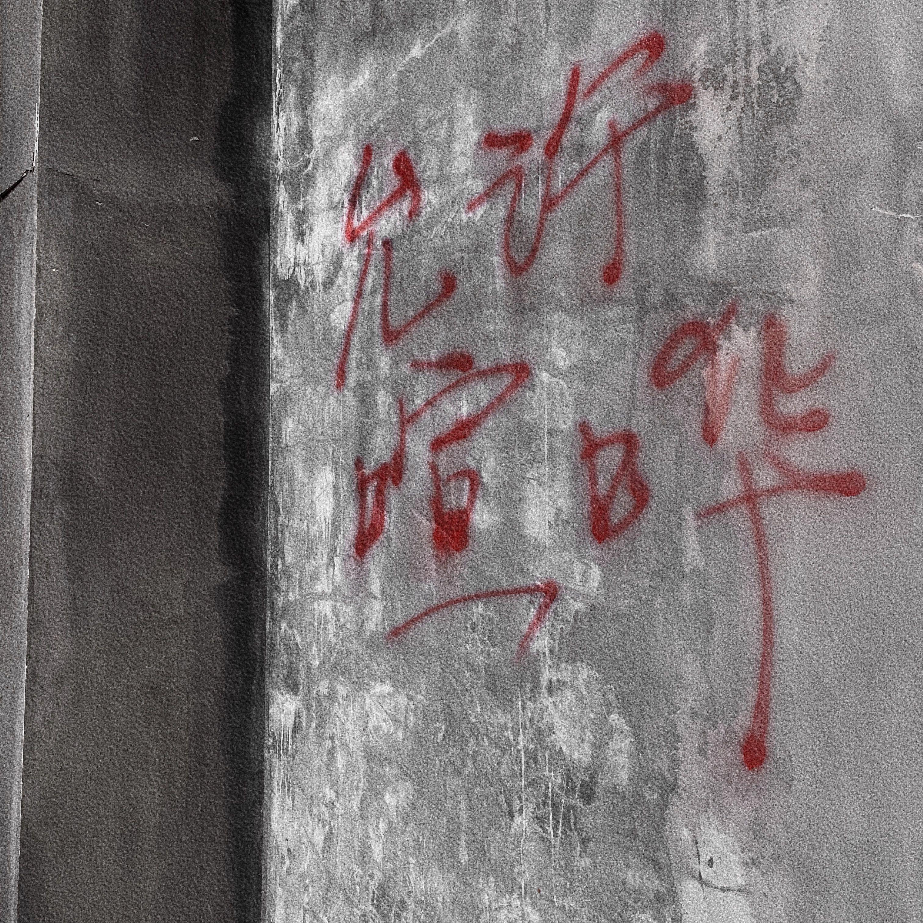 看世界