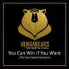 Vengabears - You Can Win If You Want (Southmind Video Mix)