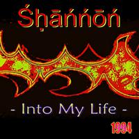 Into My Life - Shannon ( Instrumental )