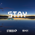 Stay (Remix)