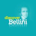 Discover Bellini专辑