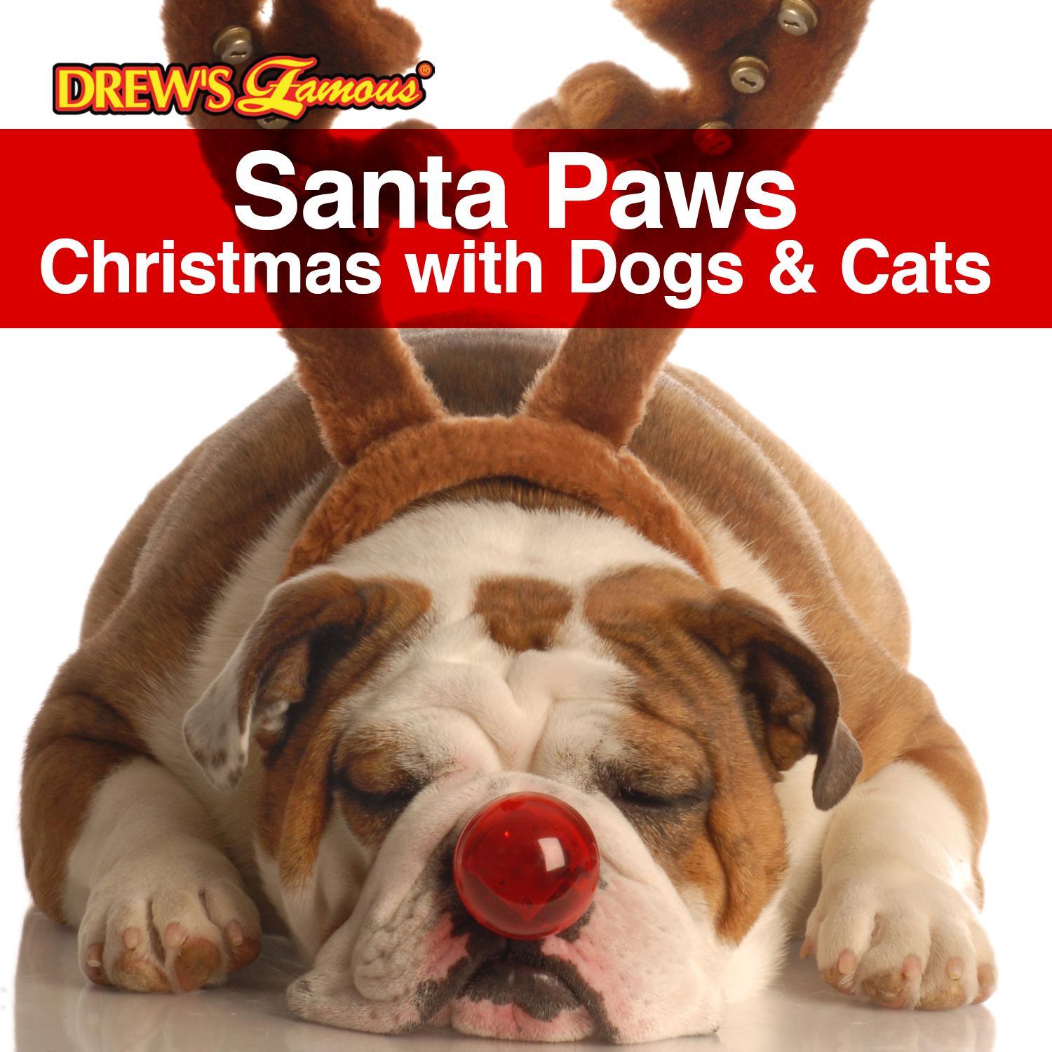 Santa Paws: Christmas With Dogs & Cats