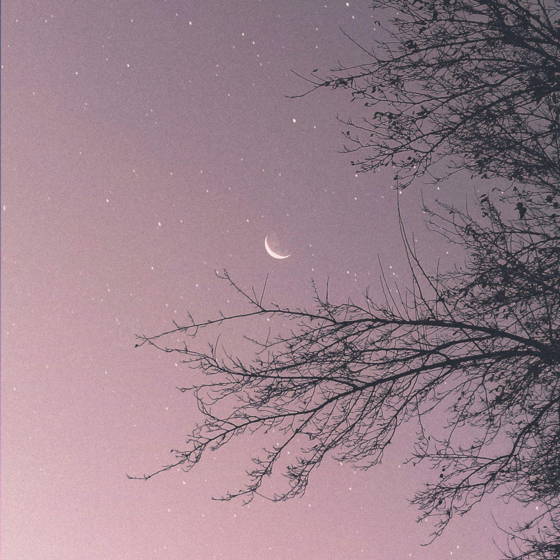 夏夜星空