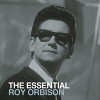 原版伴奏  Roy Orbison - In Dreams