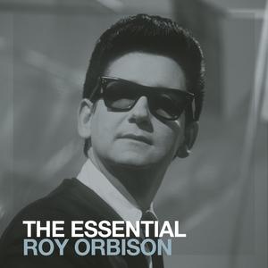 In Dreams - Roy Orbison (SC karaoke) 带和声伴奏