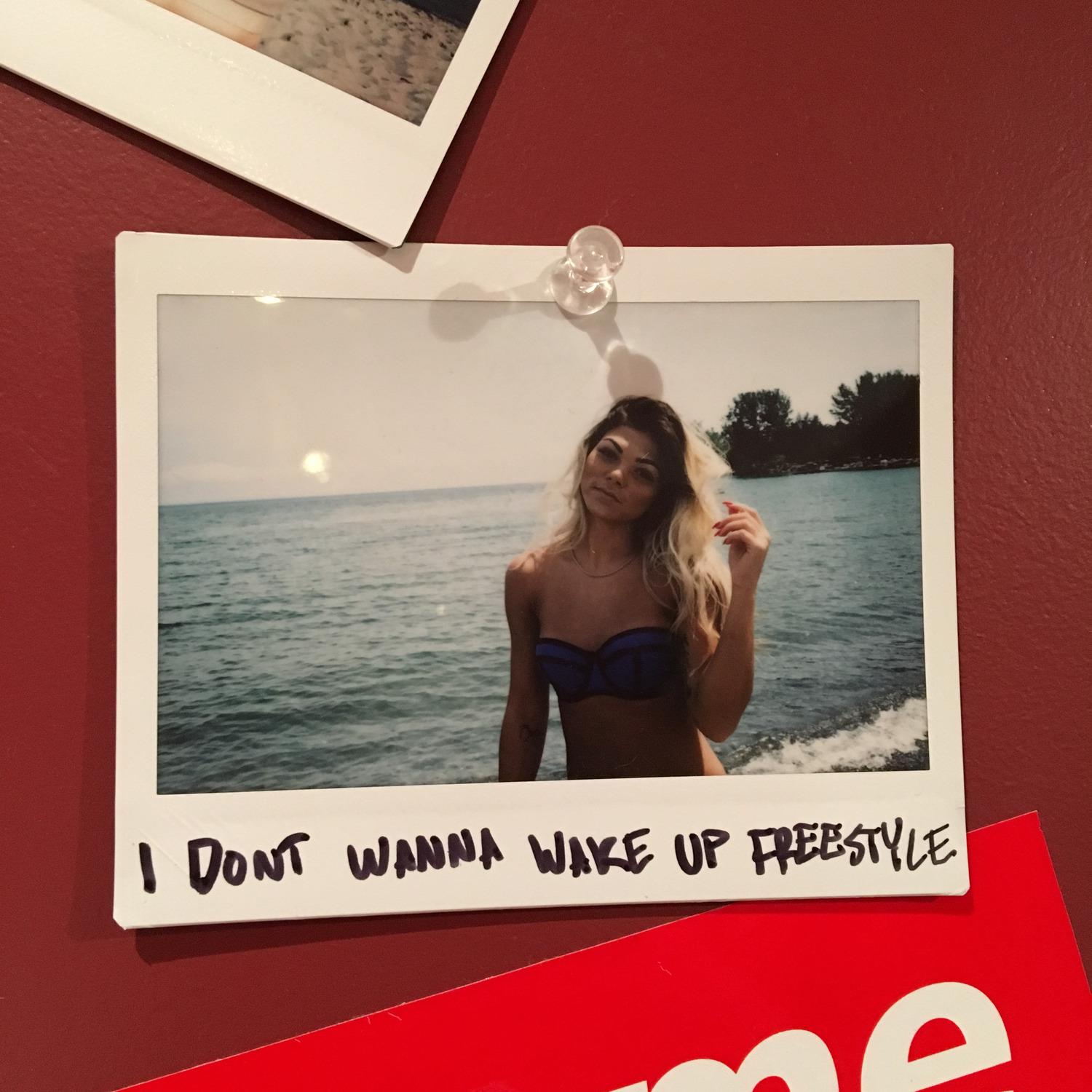 I Don't Wanna Wake up Freestyle