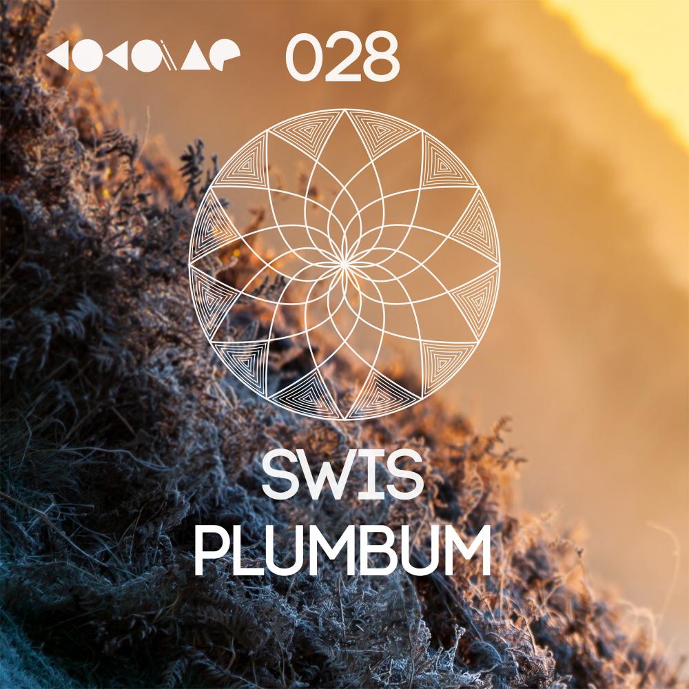 S.W.I.S - Plumbum (Original Mix)