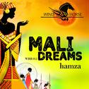 Mali Dreams EP专辑