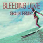 Bleeding Love (5haun Remix)专辑